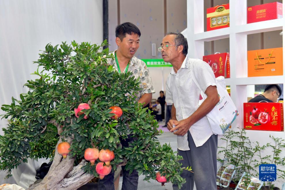 大阳城集团娱乐游戏